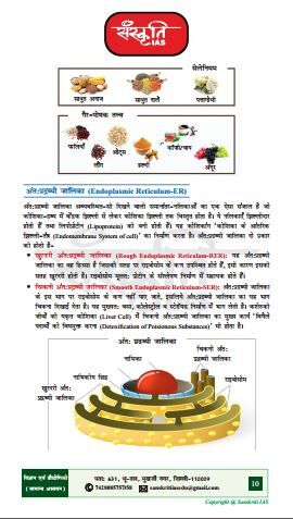 Pin on Science and Technology in Hindi